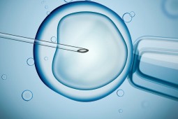 TREATMENT OF INFERTILITY & IN VITRO-FERTILIZATION METHODS